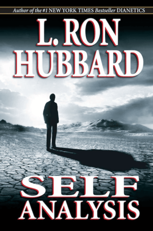 Self Analysis - South Coast Mission